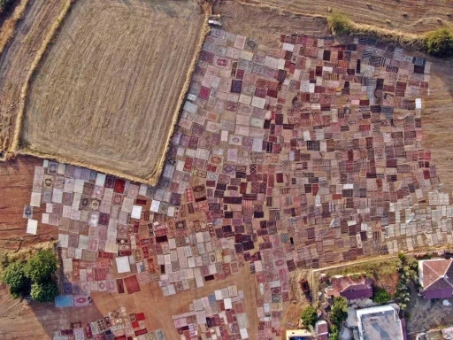 Tarlalarda milyonluk halı nöbeti başladı
