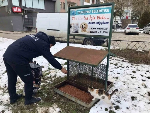 Taşk&ouml;pr&uuml; Belediyesi sokak hayvanlarını unutmuyor
