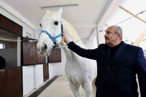 Taşk&ouml;pr&uuml;&rsquo;ye atlı turizm merkezi kuruluyor
