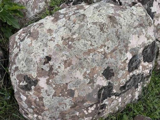Taşların &uuml;zerindeki yosunları kına gibi kullanıyorlar
