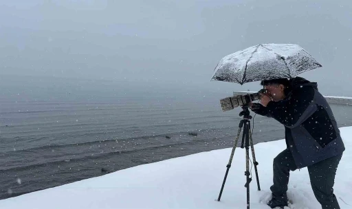 Tatvan&rsquo;a kış ortasında kuş akını
