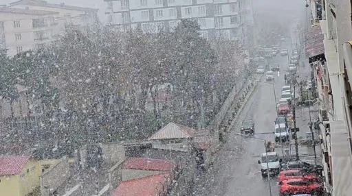 Tatvan’da kar yağışı etkili oluyor
