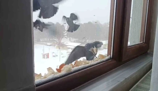 Tatvan&rsquo;da y&uuml;rekleri ısıtan davranış
