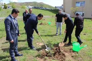 Tatvan Devlet Hastanesi bahçesinde fidan dikme etkinliği
