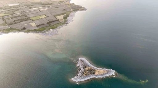 Tatvan sahilinde mikrobiyalit ve adacıklar ortaya çıktı
