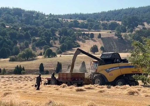 Tavşanlı’da çiftçiler emeklerinin karşılığını almanın heyecanını yaşıyor
