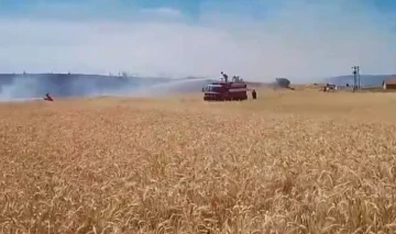 Tavşanlı’da ekili alanda çıkan yangın kısa sürede söndürüldü
