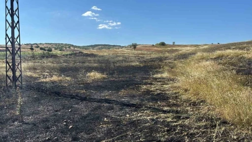 Tavşanlı&rsquo;da hasat sırasında &ccedil;ıkan yangında 15 d&ouml;n&uuml;m tarla k&uuml;l oldu
