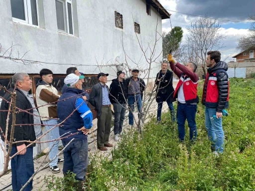 Tavşanlı&rsquo;da meyve &uuml;reticilerine budama eğitimi
