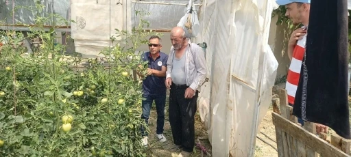 Tavşanlı’da seralarda bitki hastalık ve zararlı kontrolleri

