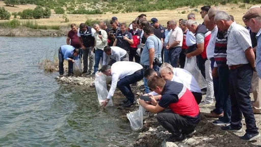 Tavşanlı g&ouml;letlerine 123 bin yavru sazan bırakıldı
