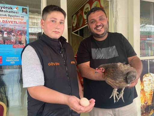 Tavuğun cesareti dönerciyi şaşkına çevirdi: Yumurtlamak için tavuk dönerciyi seçti

