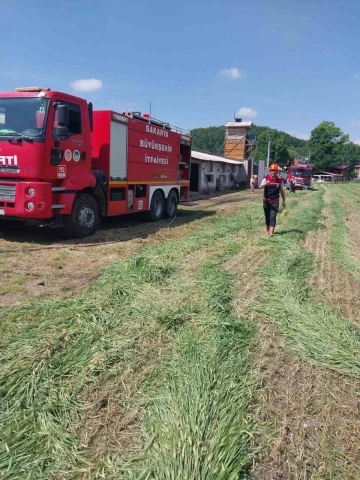 Tavuk çiftliğinde panik oluşturan yangını itfaiye söndürdü
