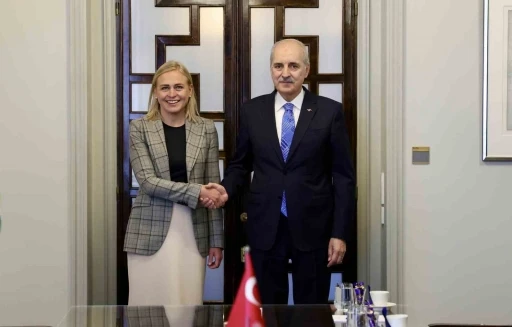 TBMM Başkanı Kurtulmuş, Finlandiya Dışişleri Bakanı Valtonen ile g&ouml;r&uuml;şt&uuml;
