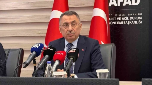 TBMM Dışişleri Komisyonu Başkanı Oktay: "650 bin personeli sahaya s&uuml;rmek hi&ccedil;bir &uuml;lkenin yapabileceği bir olay değil"
