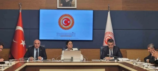 TBMM İnsan Haklarını İnceleme Komisyonu, alt komisyonların kurulması amacıyla toplandı
