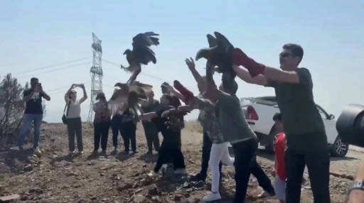 Tedavileri tamamlanan 11 yabani kuş doğaya salındı
