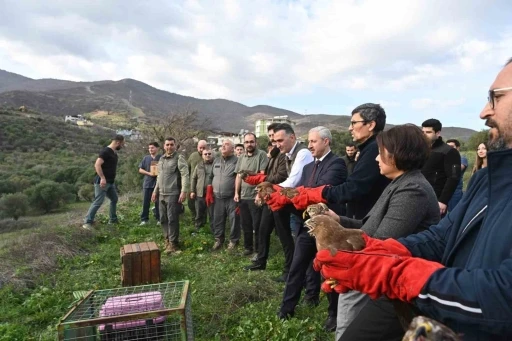 Tedavisi tamamlanan yırtıcı kuşlar &ouml;zg&uuml;rl&uuml;ğe kanat &ccedil;ırptılar
