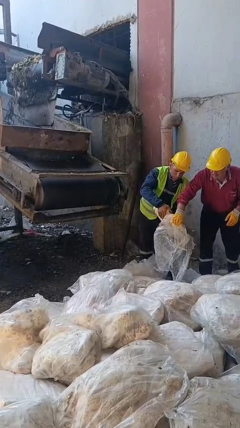 Tekirdağ&rsquo;da 1 ton 200 kilogram sağlıksız mumbar imha edildi
