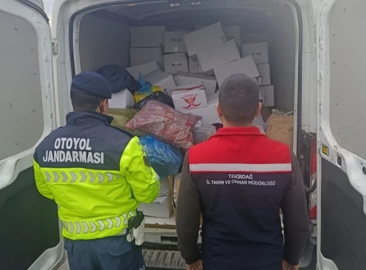 Tekirdağ&rsquo;da 2 ton baklavaya hazır antepfıstığı imha edildi
