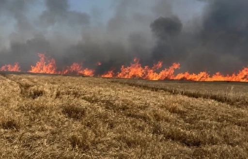 Tekirdağ&rsquo;da 400 d&ouml;n&uuml;m buğday ekili alan yandı

