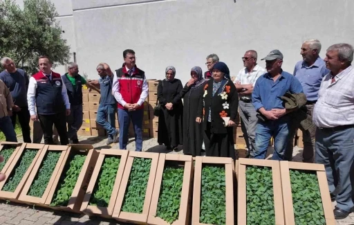 Tekirdağ&rsquo;da 407 &uuml;reticiye 256 bin yazlık sebze fidesi dağıtıldı
