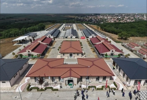 Tekirdağ&rsquo;da 5 binden fazla sahipsiz hayvana umut oldular
