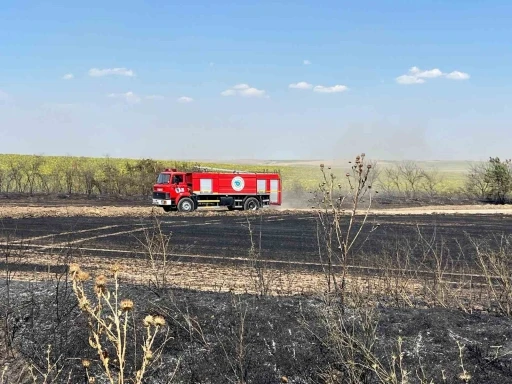 Tekirdağ’da çıkan tarla yangını söndürüldü
