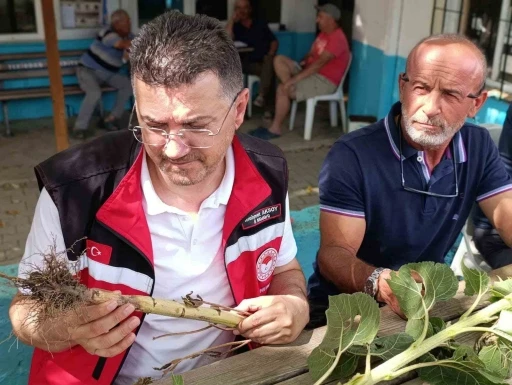Tekirdağ&rsquo;da dolunun vurduğu k&ouml;ylerde hasar tespit &ccedil;alışmaları s&uuml;r&uuml;yor
