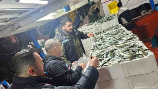 Tekirdağ&rsquo;da gırgır teknelerinde su &uuml;r&uuml;nleri denetimleri
