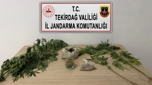 Tekirdağ’da jandarmadan 6 ayrı uyuşturucu operasyonu
