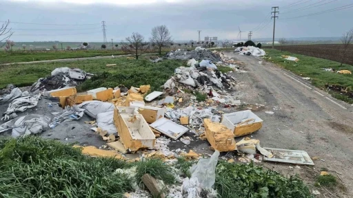 Tekirdağ&rsquo;da kamyon kamyon atık d&ouml;k&uuml;ld&uuml;
