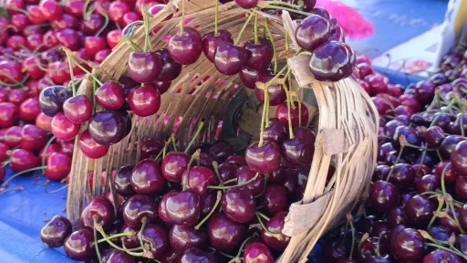 Tekirdağ&rsquo;da kiraz fiyatları d&uuml;ş&uuml;şe ge&ccedil;ti: 250 TL&rsquo;den 150-100 TL bandına geriledi
