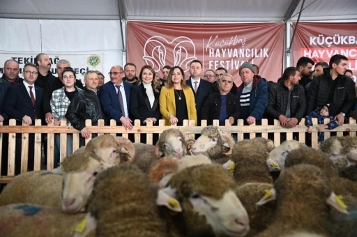 Tekirdağ&rsquo;da k&uuml;&ccedil;&uuml;kbaş hayvancılık festivali
