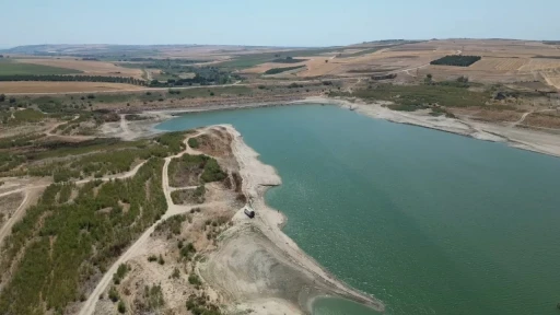 Tekirdağ’da kuruyan Türkmenli Gölet’inde ağaçlar ortaya çıktı
