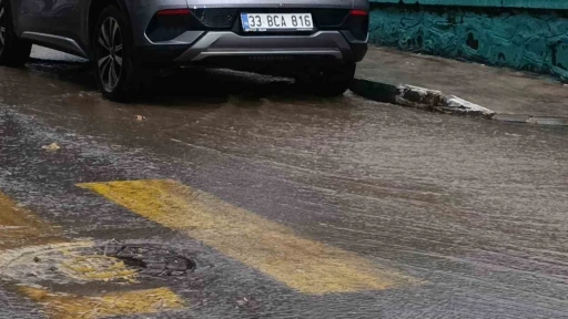 Tekirdağ&rsquo;da kuvvetli yağış sonrası tekrar g&uuml;neş a&ccedil;tı
