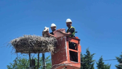 Tekirdağ&rsquo;da Leylek Festivali
