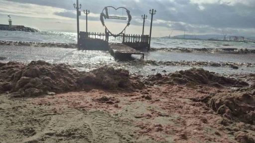 Tekirdağ&rsquo;da lodos kıyıyı vurdu, kızıl yosunlar sahili kapladı

