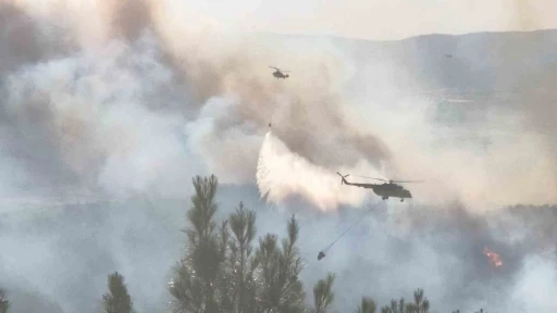 Tekirdağ’da orman yangınına havadan ve karadan müdahale sürüyor
