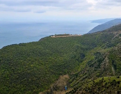 Tekirdağ&rsquo;da ormanlara giriş 12 Hazirandan itibaren yasaklandı
