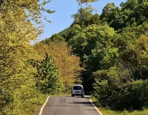 Tekirdağ’da ormanlara girişler yasaklandı
