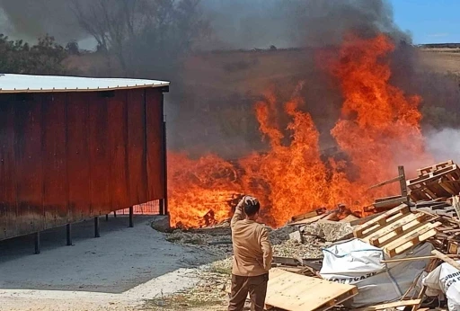 Tekirdağ’da palet fabrikasından alevler yükseldi: Yüzlerce palet alev alev yandı
