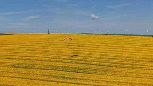 Tekirdağ&rsquo;da sarı ş&ouml;len: Paramotorlar sarı tarlaları gezdi
