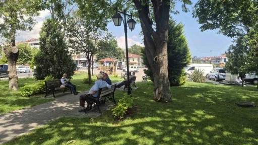 Tekirdağ&rsquo;da sıcaktan bunalanlar g&ouml;lgelik alanlara sığındı
