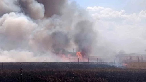 Tekirdağ&rsquo;da tarım arazisinde iki noktada yangın
