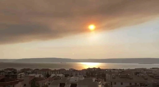 Tekirdağ’daki orman yangınının dumanı Çanakkale Boğazı’nı kapladı
