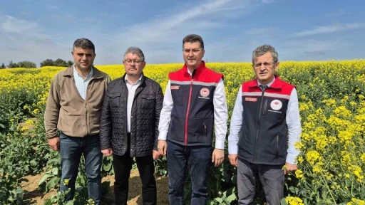 Tekirdağ İl Tarım Müdürü: &quot;Arılar ölürse, hayat da durur&quot;
