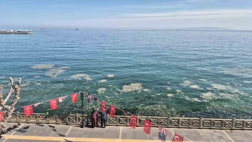 Tekirdağ kıyılarında müsilaj benzeri beyaz tabaka tedirgin etti
