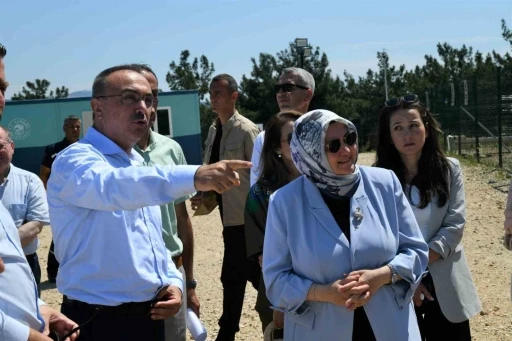 Tekirdağ Valisi Soyt&uuml;rk, Şark&ouml;y&rsquo;deki sahipsiz hayvan doğal yaşam alanını inceledi
