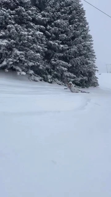 Telesiyej ile &ccedil;ıkarken dengesini kaybetti, s&uuml;r&uuml;nerek zirveye &ccedil;ıktı
